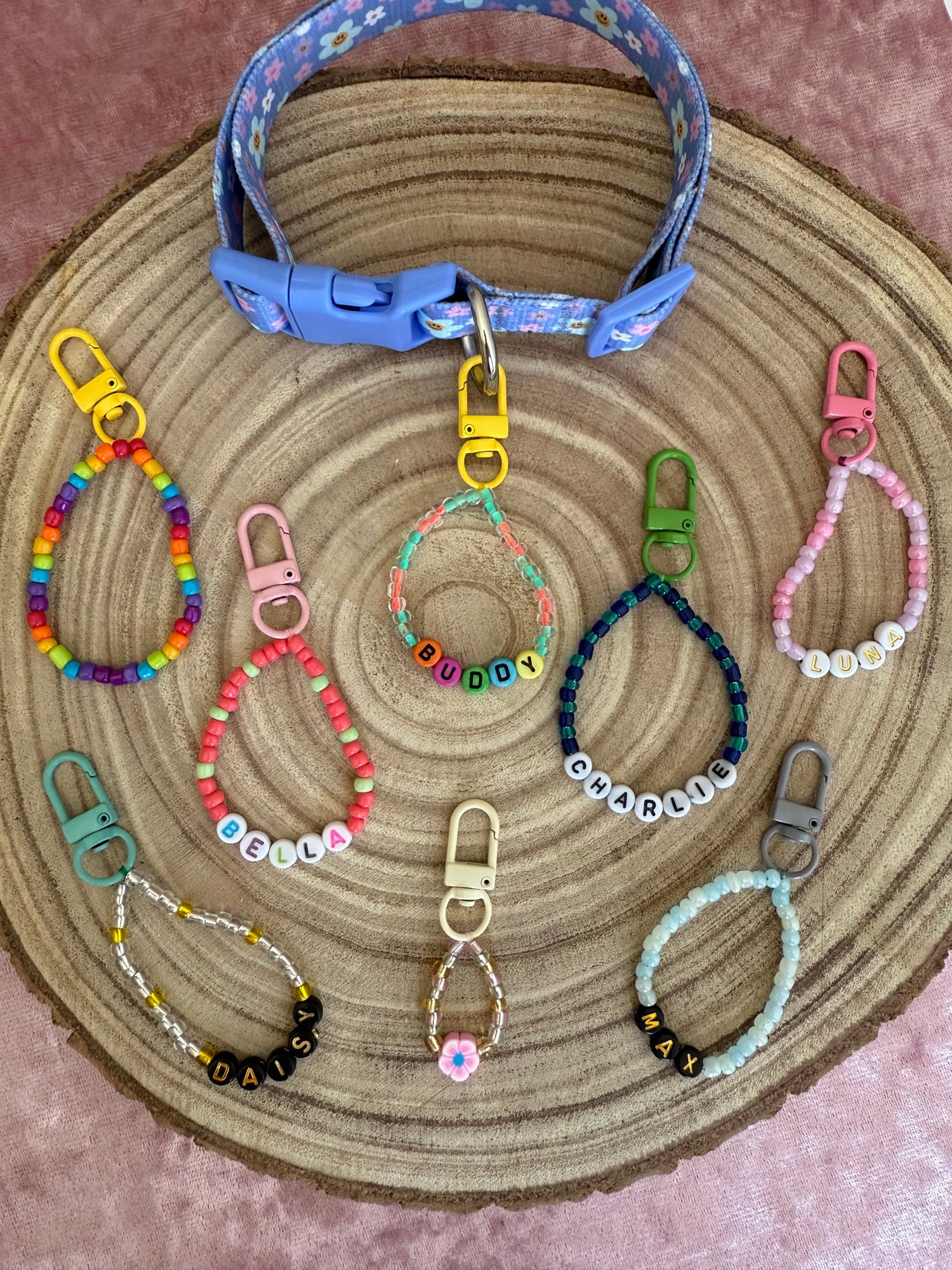 Dogs Trust Collection